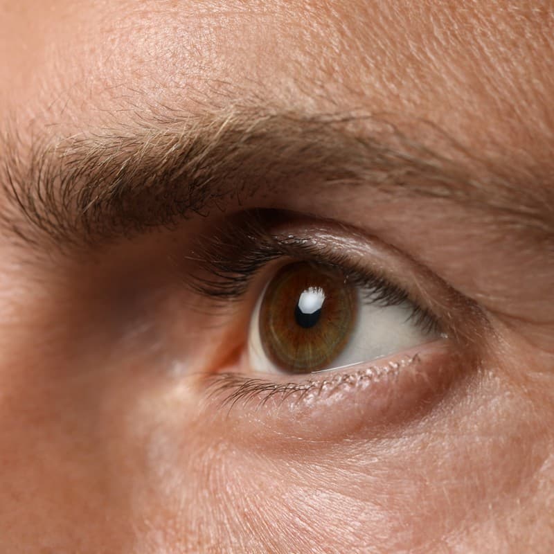 Anatomía del ojo humano en Clínica Oftalmológica Dr. Jacobo Torreiro