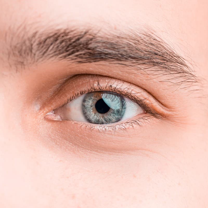 Lentes intraoculares fáquicas